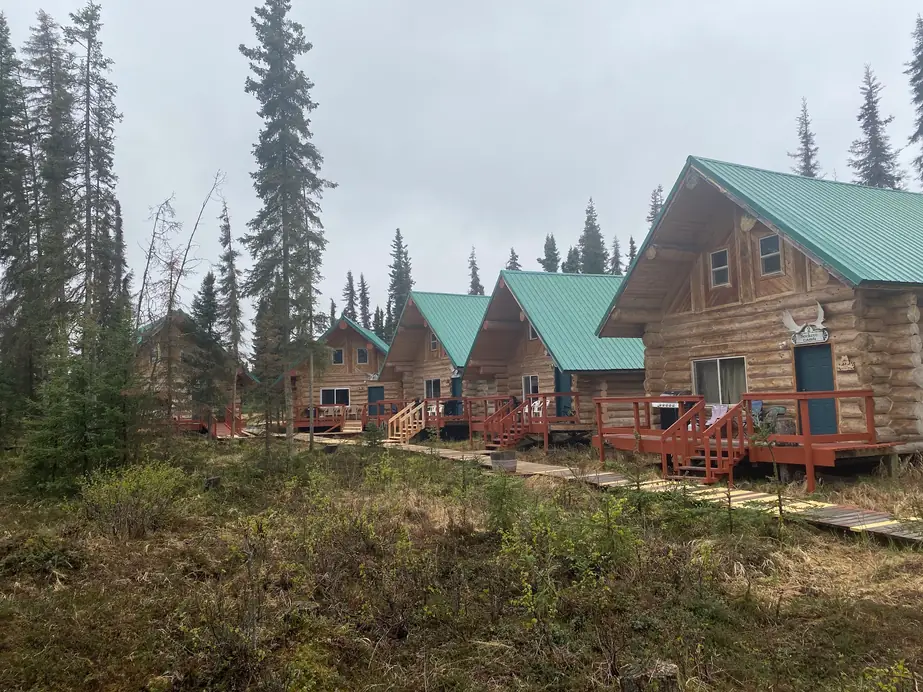 A row of log cabins with green metal roofs and red decks among tall spruce